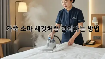 가죽 소파, 새것처럼 관리하는 방법!