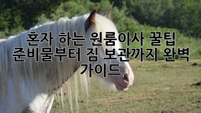혼자 하는 원룸이사 꿀팁🍯: 준비물부터 짐 보관까지 완벽 가이드!